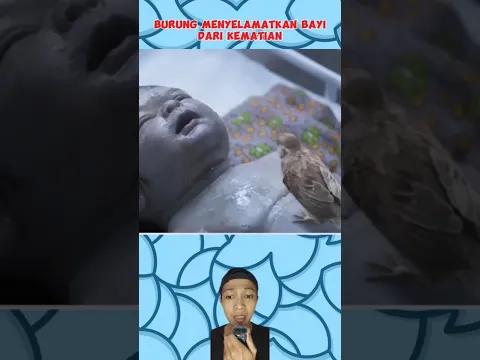 BURUNG MENYELAMATKAN BAYI ‼️