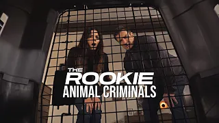 Best of THE ROOKIE: Animal Criminals! | #TheRookie