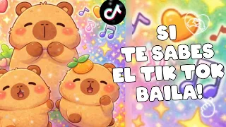 SI TE SABES EL TIKTOK BAILA VERSION 2026!!💓😊