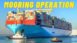 Unique View of the Mooring Operation of a VERY HUGE Maersk Container Ship