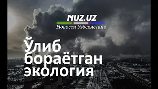 Dunyo miqyosidagi ekologik muammolar O’zbekistonga ham havf solishni boshladimi?