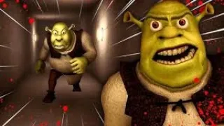 Playing 5 nights at shrek's hotel🏢.