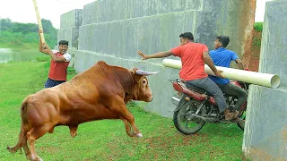 Must Watch New Funny Video 2021 Top New Comedy Video 2021 Try To Not Laugh Episode 33