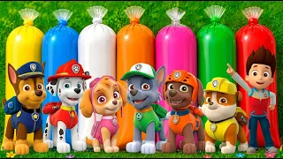 MENEMUKAN: PAW Patrol! Chase, Marshall, Skye, Rocky, Rubble, Zuma & Ryder 🐾🌈