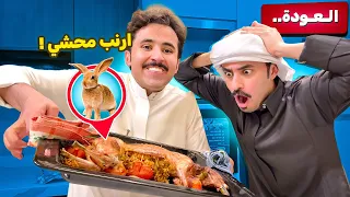  ارنب محشي 😱😱( مقطع العودة )!!