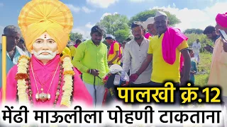 मेंढी माऊलीला पोहणी टाकत असतानाचा एक क्षण #balumamachyanavanchangbhala #short #youtubeshorts #kirtan