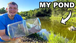 Let’s Go Minnow Trapping to Stock My Pond!