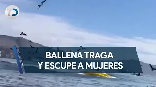 Mujeres fueron tragadas y escupidas por ballena