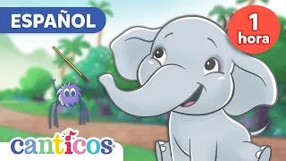 1 Hora de Las mejores Canciones Infantiles Pollitos Dicen Pio, Un Elefante, Pin Pon🌈@canticosworld