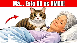 ¿Por qué tu gato se sube encima de ti de repente? Esto es lo que REALMENTE significa!
