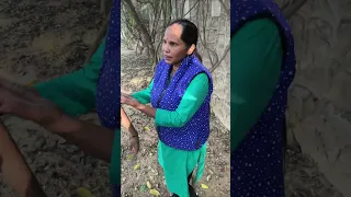 Holi