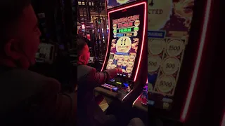 $250 Max Bet Dragon Cash MASSIVE JACKPOT #shorts