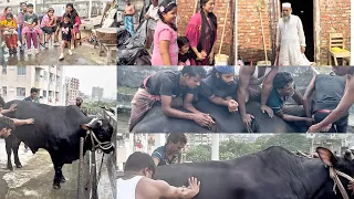 Eid Day-2 Vlog/Eid-Ul-Adha 2025/Ourtinyworld #kurbanieid #eiduladha2025 #vlog #eidvlog