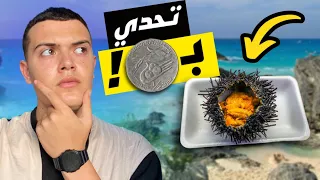 تحدي العيش يوم كامل ب 500 مليم "0,15$” فقط | عثرت على الذهب بالصدفة 🤑