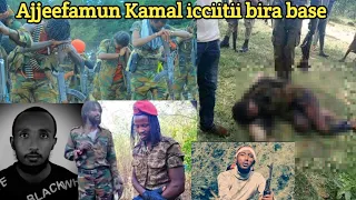 Jaal kamal enyuu akka ajjeese😭 fi jaal moo'ii😭 iccitiin bilbilaan ittii dhadatame jedhame ifa bahe🤔🙆