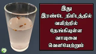 2 நிமிடத்தில் வயிற்றில் தேங்கியுள்ள கெட்ட வாயுவை வெளியேற்றும் வீட்டுவைத்தியம் Instant Home Remedy