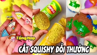 Tổng Hợp Cắt Squishy Đổi Thưởng Tập 29 | Tìm Mảnh Ghép Để Đổi Phần Thưởng Khổng lồ ( Dương Thộn)