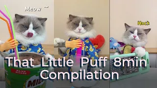🤣Funny 8min collection | That Little Puff