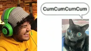 MISHIFU mira SHITPOST MUY XD