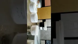 معطر ومنظف أرضيات لزج بثبات عالي