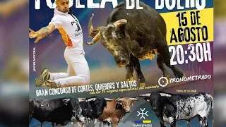 Desenjaule Toros Bravos Tudela de Duero 2025