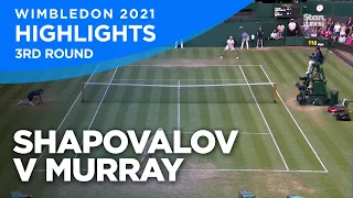 Denis Shapovalov - Andy Murray - Match Highlights