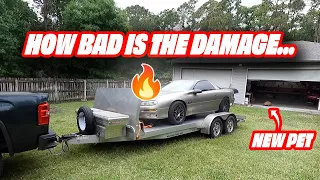 Fire Damage, How Bad is it... (Trans Coming out, New Pet)