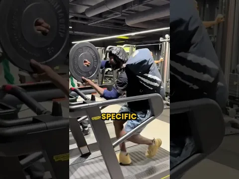 Seal Training Is Crazy