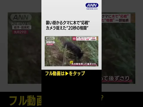 #shorts  襲い掛かるクマに木で“応戦”　カメラが捉えた“格闘”一部始終