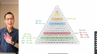 Why are the prime rows in Pascal's Triangle so special?