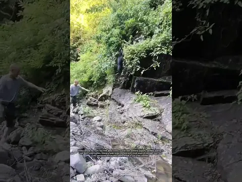 مغامرة مشوقة في قلب الطبيعة.. وفاء الكلب لا ينتهي! 🐾🏞️