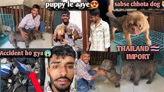 New dog le aaye🐶| accident ho gya😭|