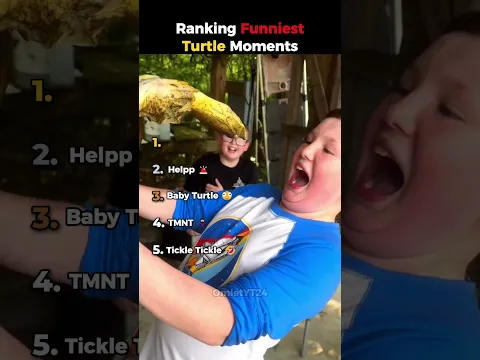 Ranking Funniest Turtle Moments 🐢