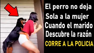 Perro Nunca Deja a La Mujer Sola Cuando el Marido Descubre La Razón Corre A La Policía