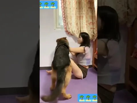 kunfu dog almost bite my hand #funny #funny_animal #funnyanimals #smartdog #youtubeshorts