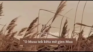 66. Zemrat e sprovume.. - AbduRrahim Balla.