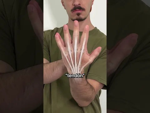 ¿por qué se paraliza el dedo anular?