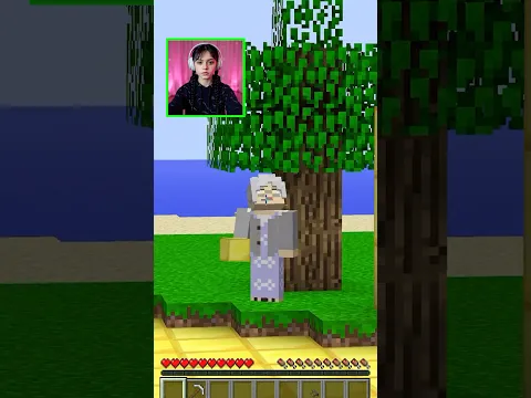 a troller minecraft