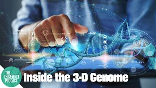 The Complex Shape of DNA You’ve Never Been Taught