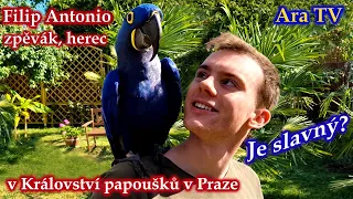 787 - Zpěvák a herec Filip Antonio v Království papoušků