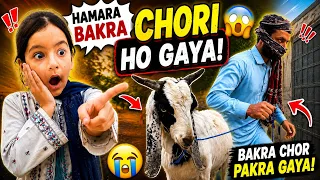 HAMARA BAKRA CHORI HO GAYA 😱🐐 | Bakra Chor Pakra Gaya 😂 @MahrooshSkater 