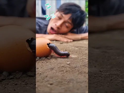 Sweet dreams, he fell into a deep sleep just as the millipede finally appeared before him #millipede