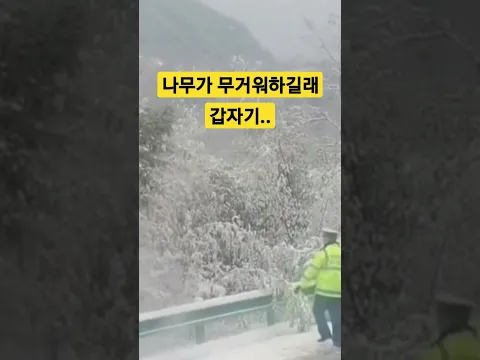 나무가 무거워하길래.. 갑자기.. #shorts