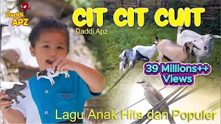 Lagu Cit Cit Cuit - Lagu Anak Cit Cit Cuit Hits Dan populer