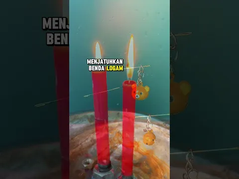 Kalau Kamu Lihat yang Kelima… Pasti Gak Nyangka! 😳 #informatif #faktaunik