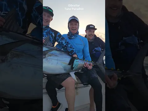 Gibraltar - Tuna Paradise Baby!!! #Bluefin Tuna #tunaparadise #howk #savage gear #beoriginal