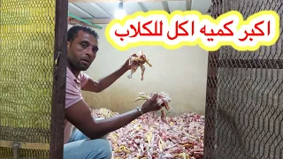 عملت حاجه جامده بسببها الكلب تخن جامد / من النهارده كلابنا مش هتخس #لا_لنحافه_الكلاب