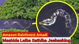 Amazon Rainforest Amadi Mashida Leiba Sathiba Jeebashing