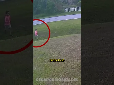 El perro es un verdadero héroe