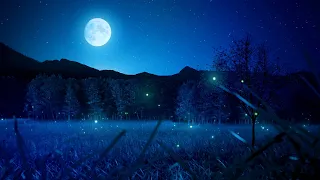1시간 잔잔한 수면음악 + 풀벌레소리 🎵 스트레스 해소음악, 잠잘때 듣는 음악, 불면증치료음악, 수면유도음악 (My Dream)